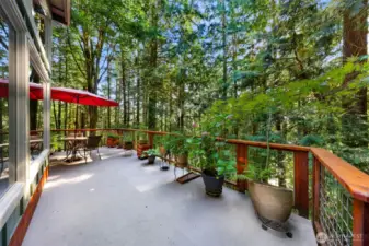The upper deck located off the dining room