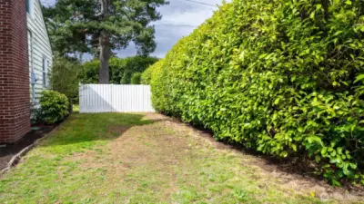 Sideyard
