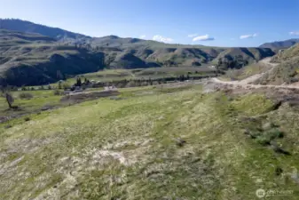 Original homestead backyard!