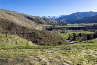 Variety in landscape of this property.