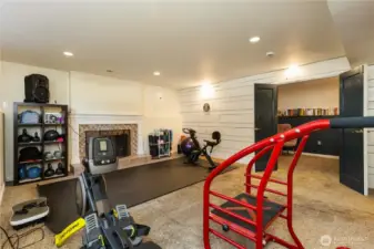 Downstairs rec room.