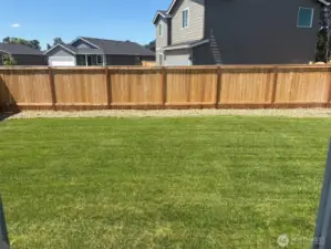 Fenced backyard