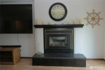 CLOSE UP OF THE FIREPLACE AND HEARTH
