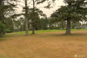 FIFTH FAIRWAY!