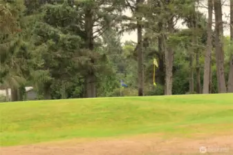 FIFTH GREEN!