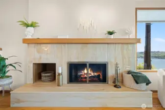 Electric or Wood fireplace