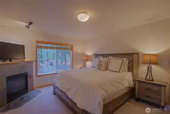 Primary on the main floor w fireplace