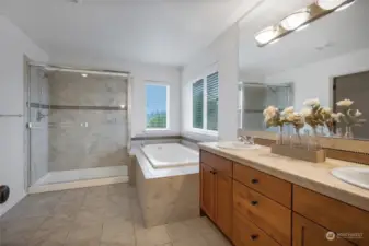 primary bath room with large walk in closet