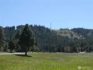 Park like property near the club house