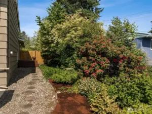 Side yard leading to the front door is flanked with beauty in the mature landscaping greenery and beautiful blooms just starting to pop!