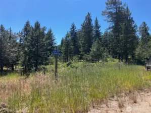 Northeast (lower) corner of the property.