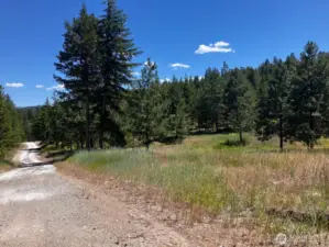 Outback Road, looking to the east. The road that accesses the lower part of the property.