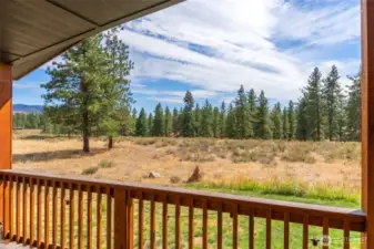 Large city lot with beautiful views