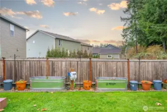 Back yard - garden area