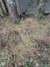 Water Hookup on Property.