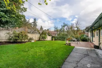 Upper Level Back Yard