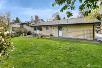 Upper Level Back Yard