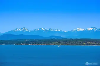 Views from rooftop deck