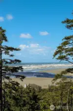 Take in the views of Joe Creek and downtown Pacific Beach where the kite festival showcases their kites!  Watch the weather roll in and out from this beautiful location!