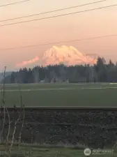 Mount Rainier.