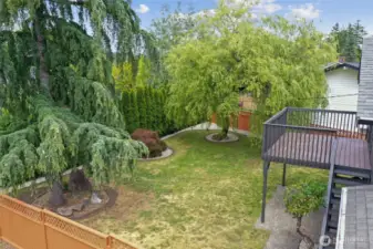 Huge fully fenced back yard!