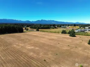 Welcome to Vogt Road in Port Angeles, WA!
