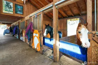 ponies in small barn