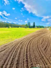 gallop track