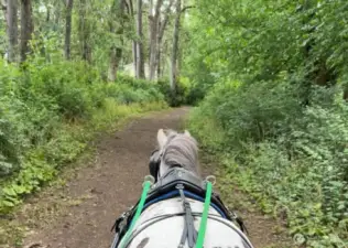 beautiful trails for riding