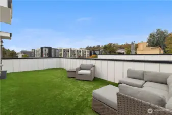 Rooftop Deck with professionally installed turf