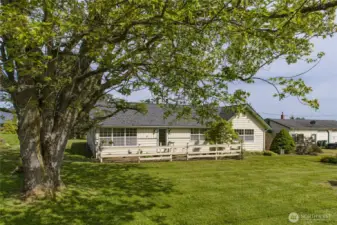 WELCOME TO 5296 OLSON ROAD:)) FACING EAST