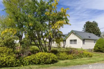 MATURE DROUGHT RESISTANT LANDSCAPING