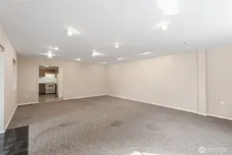 Lower level light-filled living room.