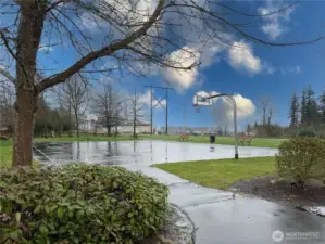 Community sports court