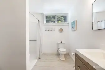 Down Stairs Bathroom