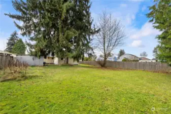 Backyard adorns large cedar tree for shade