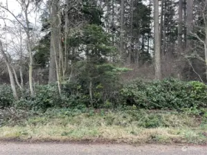 Level Lot with mature trees. Enter the lot just to the left of what is pictured.