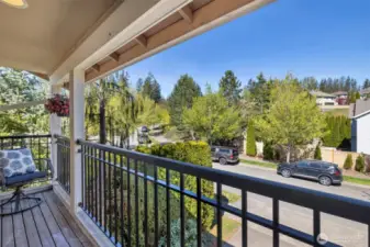View balcony off bonus room
