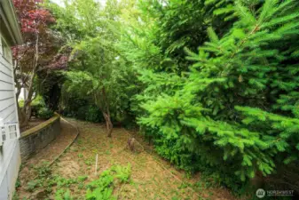 Green space with a creek just beyond.