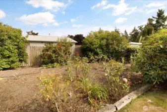 Back Yard/garden
