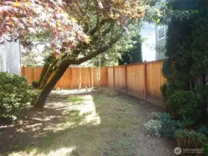 private front yard