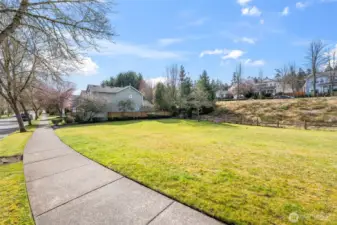 The community greenspace across the street from the house.