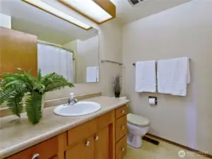 Hall bath on main floor with tub.