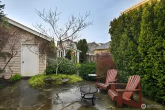 Professionally landscaped back yard