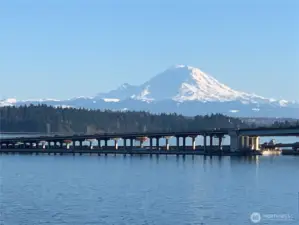Wow! Enjoy unobstructed views of glorious Mt. Rainier...up close and personal. The location of this townhome is superb...just 3 blocks to Leschi, and no noise from I-90!