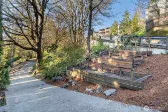 Gardening area and quick overview of extended driveway and lot