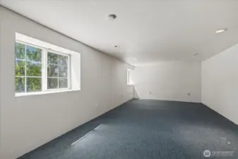 Lower level living room