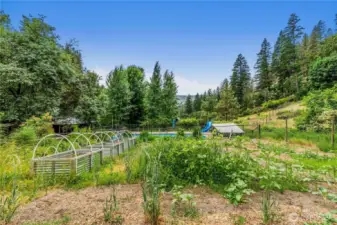 Delightful vegetable garden where raised beds overflow with possibility.