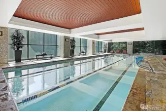 Olympic size saline pool