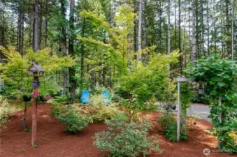 A little piece of perfect right here on Pathfinders Dr.
